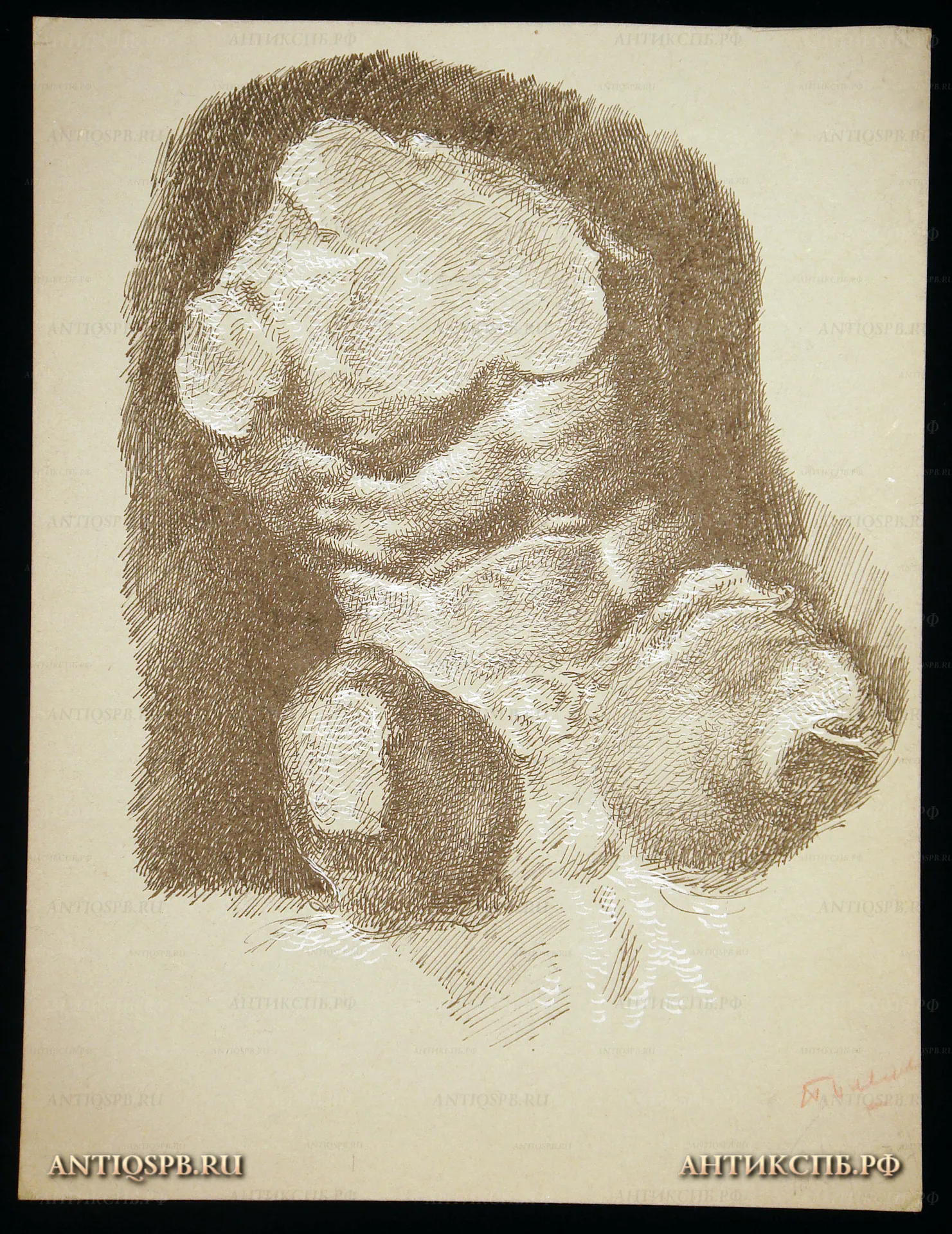 Рисунок "Этюд. Торс". Бумага, тушь. Автор: Поляков Александр Иванович (1921-1998). Вт. пол. ХХ века. СССР. №37П